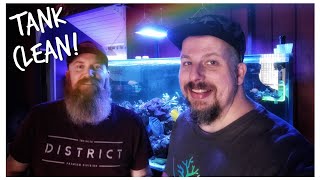 Reef Maintenance Vlog - Red Sea Predator & 180 gallon Custom Mixed Reef #StayHome & Reef #WithMe