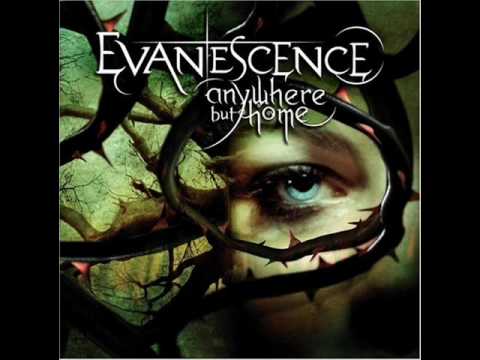 Evanescence - Going Under [Live]