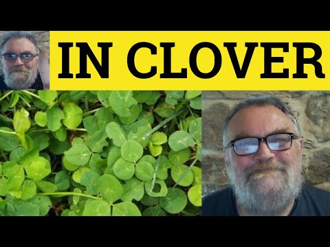 🔵 In Clover Meaning - Define In Clover - In Clover Examples - English Idioms