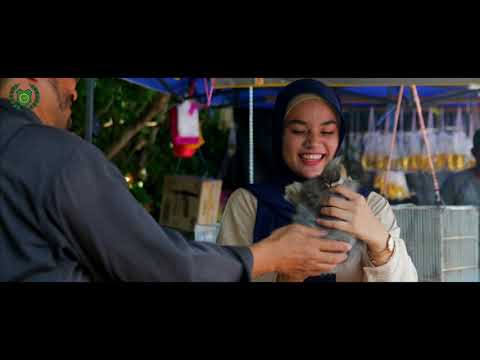 VISIT PERLIS : Asia's Best Kept Secret
