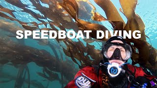 Trading the sailboat for a speedboat and diving in the Puget Sound