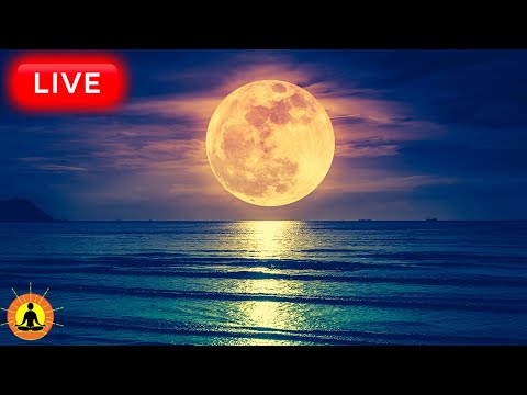 🔴 Relaxing Music 24/7, Stress Relief Music, Sleep Music, Meditation Music, Study, Calming Music