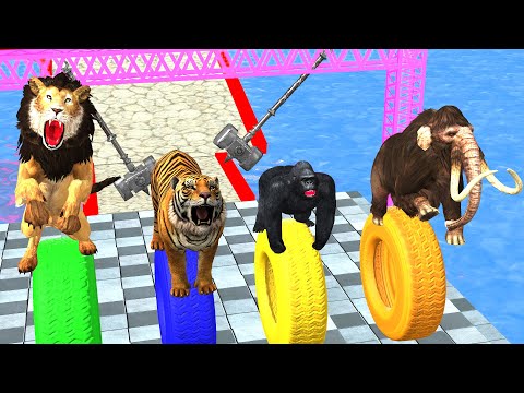An Obstacle Game With Gorilla Cow Elephant Mammoth Lion Tiger Wild Animal Games Videos