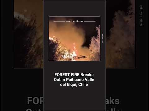 Forest Fire Breaks Out in Paihuano, Valle del Elqui | Chile Emergency Response