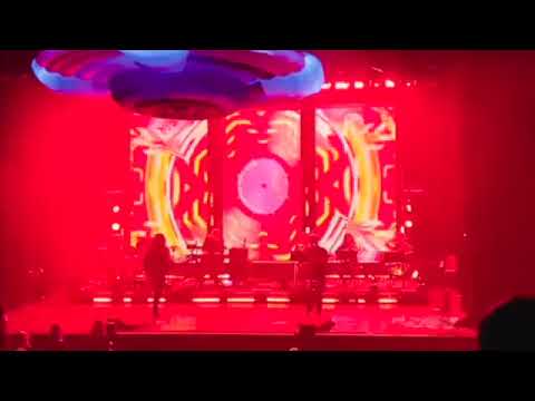 The ELO Show