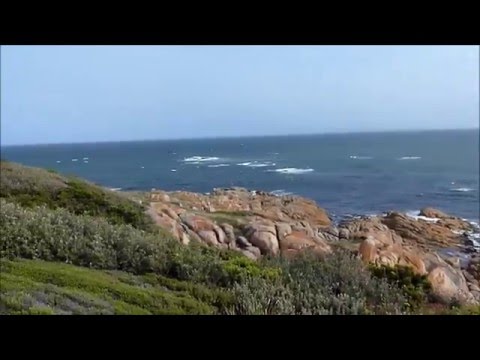 Point Hicks Lighthouse Nature Tour - Croajingolong
