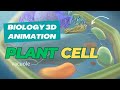 The Secret World Inside Plant Cells 3D Animation Reveals