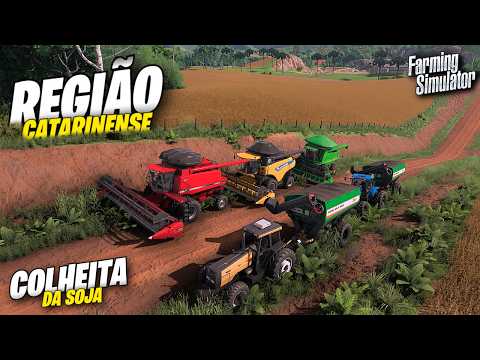 Colheita Do Grão De Ouro Em Santa Catarina | Farming Simulator 22 Simulando Vida Real