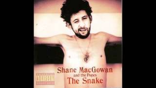 Shane Macgowan & The Popes- That Woman's Got Me Drinkin