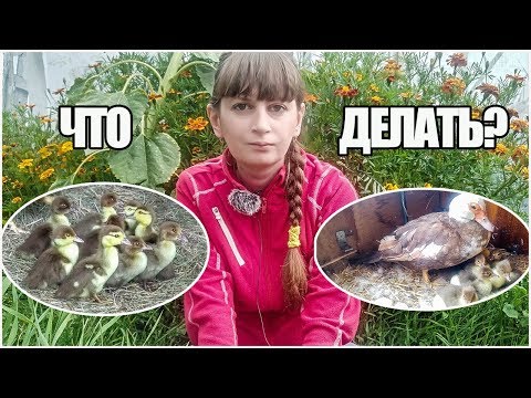 Поболтаем?! Жизнь в деревне.