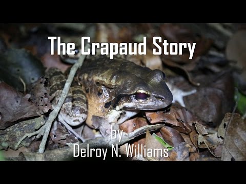 The Crapaud Story