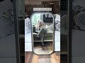 Get These Stunning Mirrors And Tons Of Other In Stock Decor Items For 50 Off Shorts