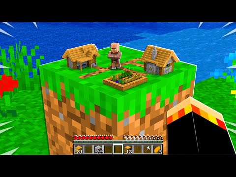 I Found the World's SMALLEST Minecraft Village! *tiny*