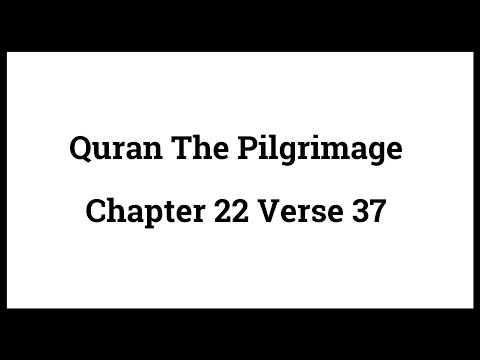 Quran The Pilgrimage 22:37
