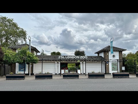 Part 1 | London Zoo Summer Walking Tour | Feel Good Ambience | London,England  | 4K