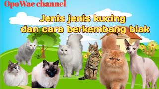 Download lagu Jenis jenis kucing dan cara berkembang biak mp3