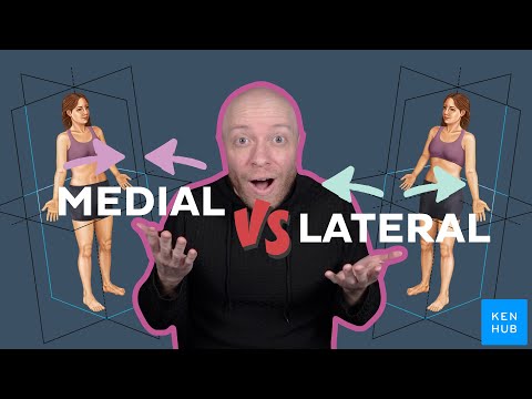 Medial vs Lateral explained clearly | Kenhub