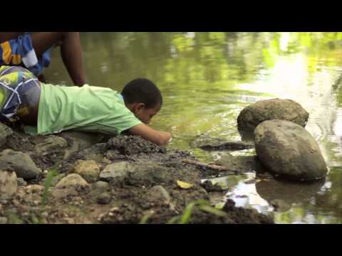 Minuto Derecho a la Alimentación - La Otra Vida