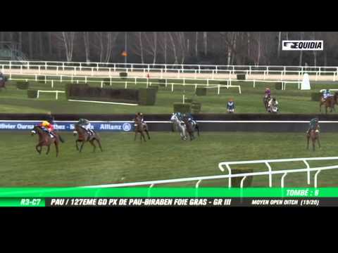 Pau - 19/01/14 - Kalmonto grand steeple-chase