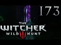 The Witcher 3: Wild Hunt [173] - Sicherheitsprotokolle