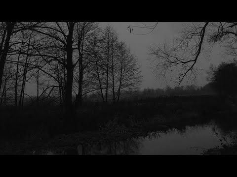 Dove - Doll Ver / antihoney / slowed & reverb / lyrics / 1 hour