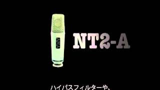 RODE ( ロード ) NT2-A 送料無料 | サウンドハウス RODE ( ロード ) NT2-A 送料無料 | サウンドハウス