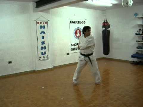 karate do shorin riu shizen kan naijanchi sho dan