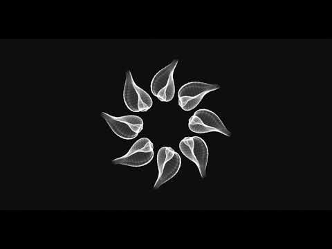 Alevtina, Rich Hila - Fucking Raw (Original Mix) 303lovers