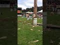 Woodchopping Dale Beams 2012 300mm Standing Hard Hitting Huon Show