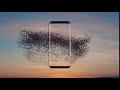Samsung Galaxy S8