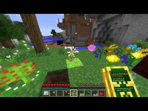 Botania Part 4