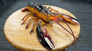 How Daring My Students to Rescue a Lobster Saved Me From Burnout