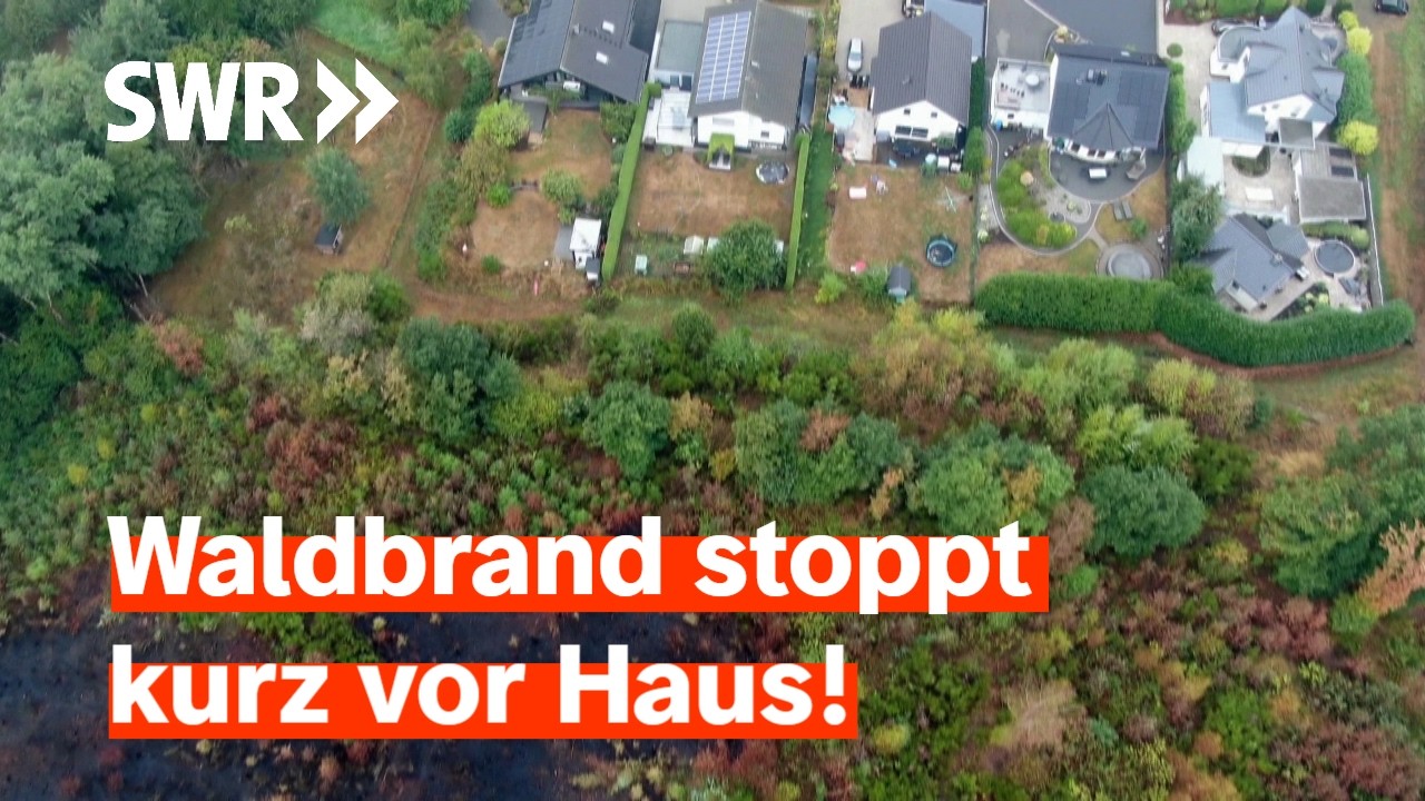 Immer mehr Waldbrände - Die Bedrohung wächst | Zur Sache! Rheinland-Pfalz