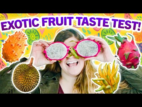 Witness21  2021 02 19