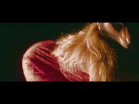 Video thumbnail for Graceland