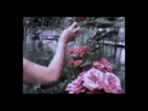 Danica Rankovic - ( Video Spot ) - 2008