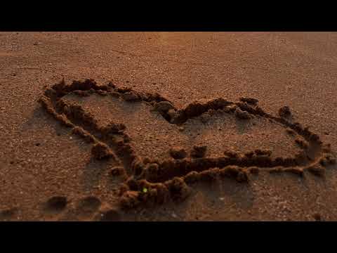 Academia de Arte Marțiale ''Nicu Dascălu''- Stagiu 2023