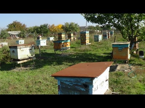 Осенняя ротация ульев на пасеке