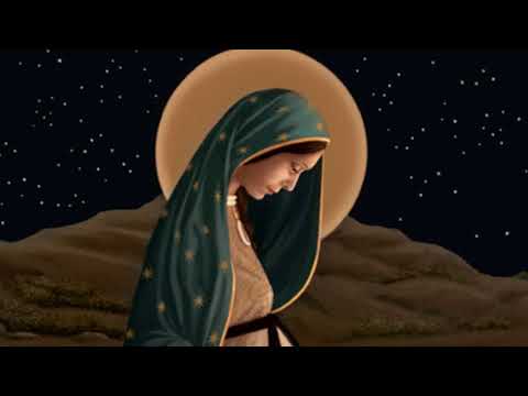 Noite Feliz video