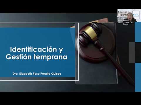 Webinar Gestión de riesgos en la contratación pública Análisis del caso ONPE en el proceso electoral