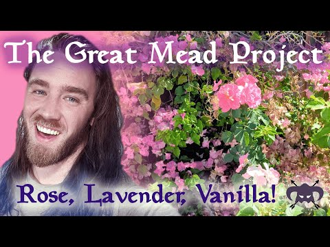 The Great Mead Project 2 (Hopped Lavender Vanilla Rhodomel)
