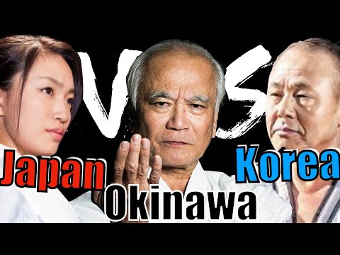 10 Differences Between Okinawan Karate, Japanese Karate & Taekwondo! Kicks Version!