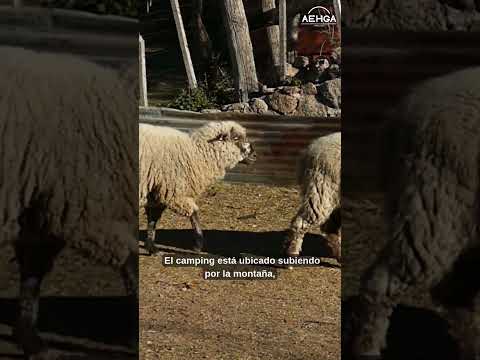 Viví la aventura en La Salagría – Potrero de los Funes