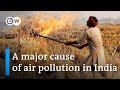 India: Could there be an alternative to 'stubble burning'? | DW News