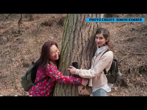 Jinglong mountain hike 2021