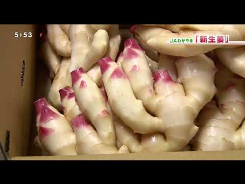 20200714JA和歌山新生姜
