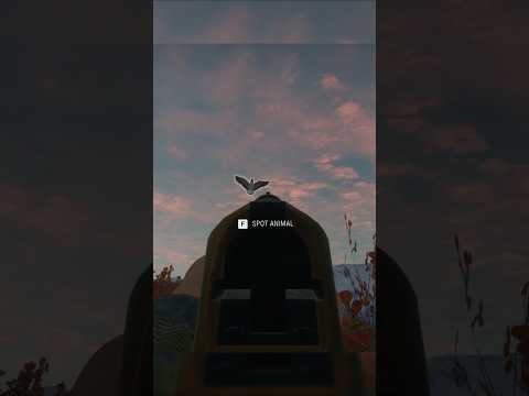 brutal blood splash goose shot #cotw #hunter #cotwclips #goosehunting