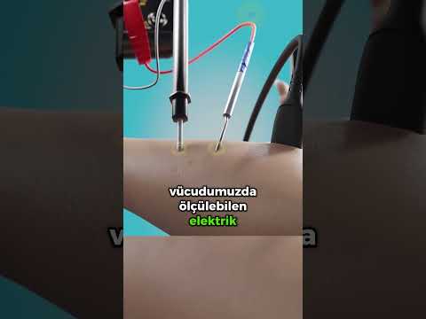 Telefonu Kolumuzla Şarj Etmek? 📱💪⚡