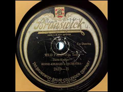 Bennie Krueger Orchestra - Wild Papa (1923)
