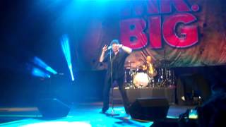 Mr. Big - Gotta Love the Ride ( Live in Manila 2014 )